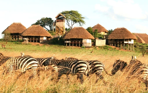 Our Top Destinations - Uganda | Kidepo Valley National Park